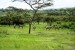 Akagera (Parc national) : prévisions météo à 14 jours pour voyager