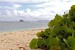 L'île de la Désirade : prévisions météo à 14 jours pour voyager