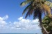 L'Île Saona : prévisions météo à 14 jours pour voyager