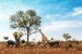 Le Parc Kruger : prévisions météo à 14 jours pour voyager