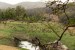 Parc national de Ranthambore : prévisions météo à 14 jours pour voyager