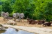Le Zoo de beauval : prévisions météo à 14 jours pour voyager