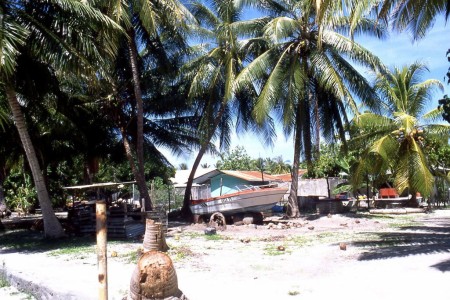 Ahe (îles du Roi Georges)