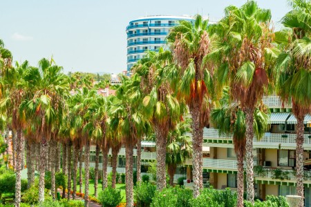 Belek