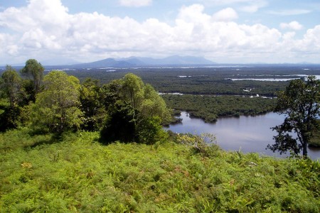 Le Parc national de Danau Sentarum