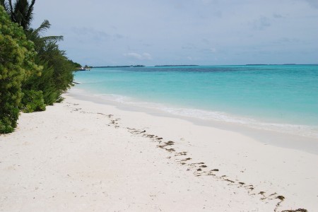 Dhidhdhoo
