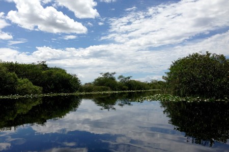 Le Parc national des Everglades