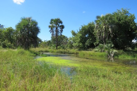 Le Parc national de Gorongosa