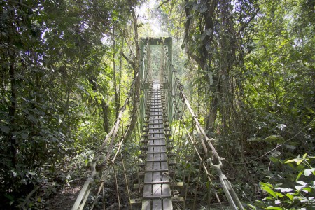 Le Parc national du Gunung Mulu