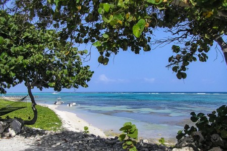 Little Cayman
