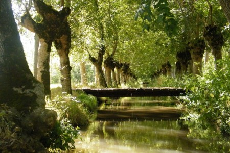 Marais poitevin (Marans)