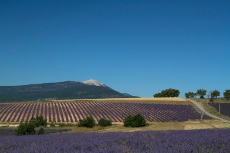 Le Mont Ventoux