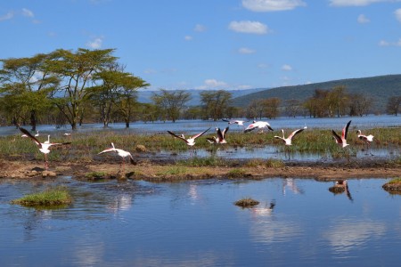 Lake Nakuru National Park
