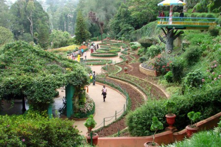 Ooty