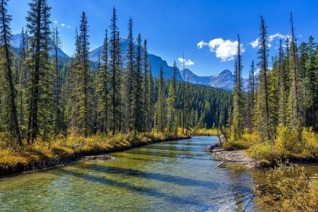 Le Parc National de Jasper