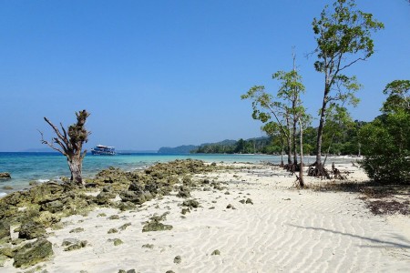 Andaman du centre (Rangat)