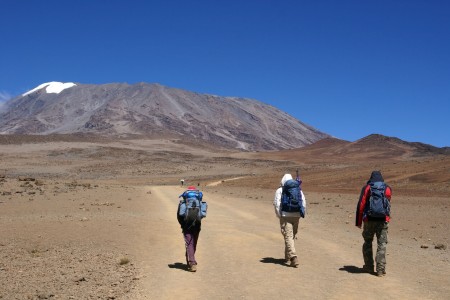 Le Kilimandjaro
