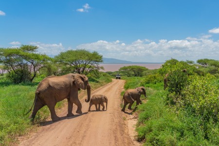 Tarangire (Parc National)