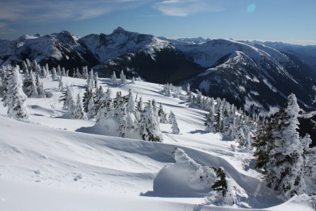 Prince Albert (Saskatchewan)