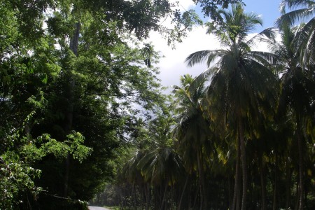 Saint-Joseph (Dominique)