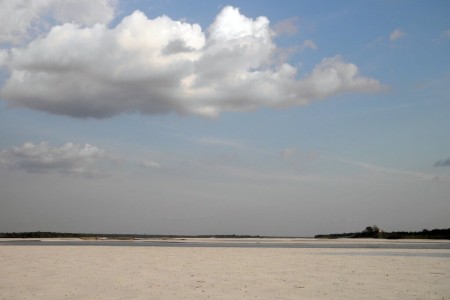 San Fernando (Venezuela)