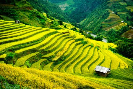 Sapa (nord du Vietnam)