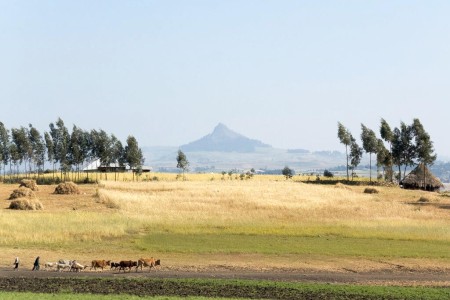 Le Parc national du Simien