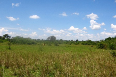 Soroti