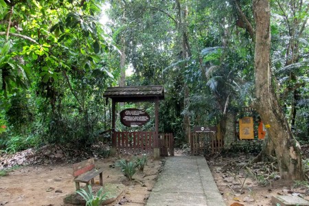 Le Parc national de Taman Negara