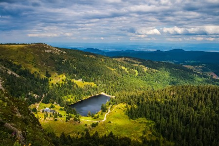 Les Hautes-Vosges (massif des Vosges)