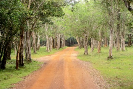Parc national de Wilpattu