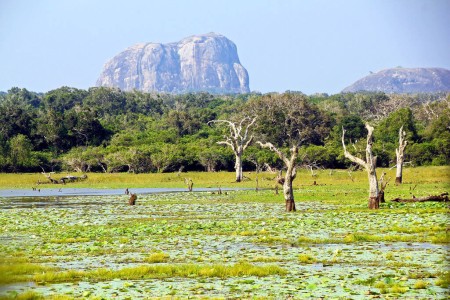 Le Parc national de Yala