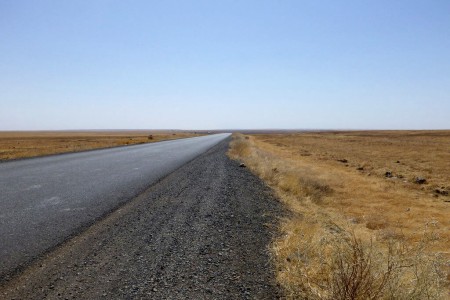 Le Parc national de Yangudi Rassa
