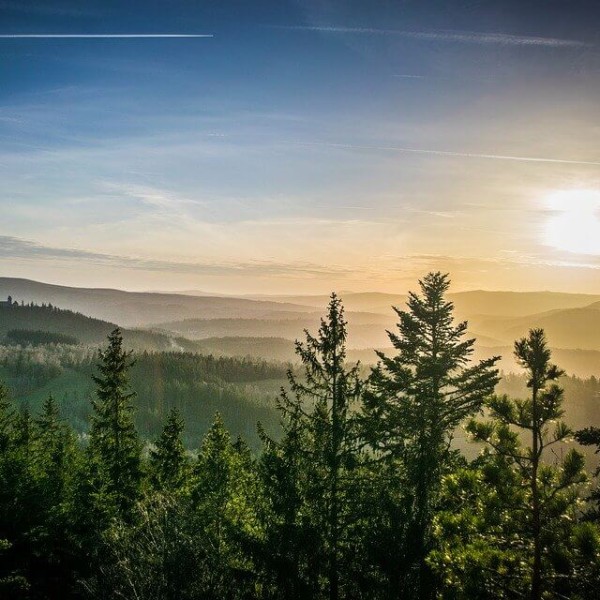 Šumava (Parc national)