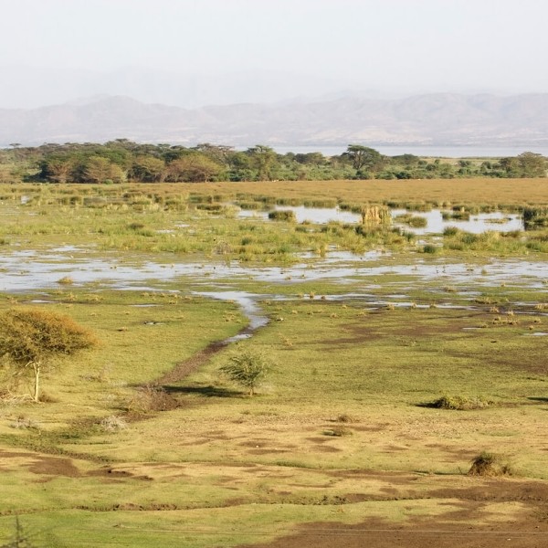 Aksoum