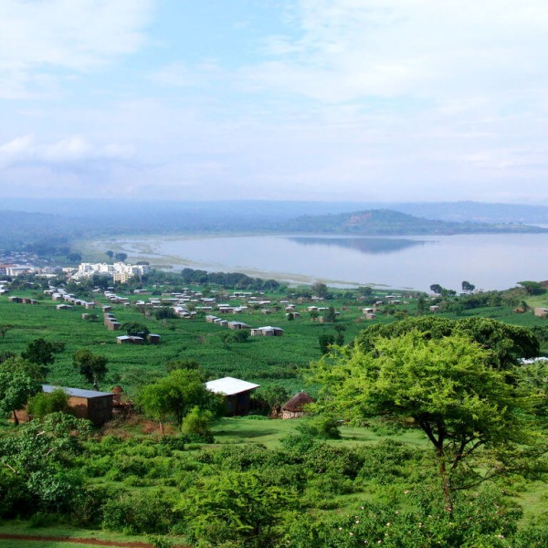 Awasa