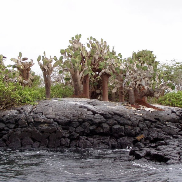 L'Île Baltra