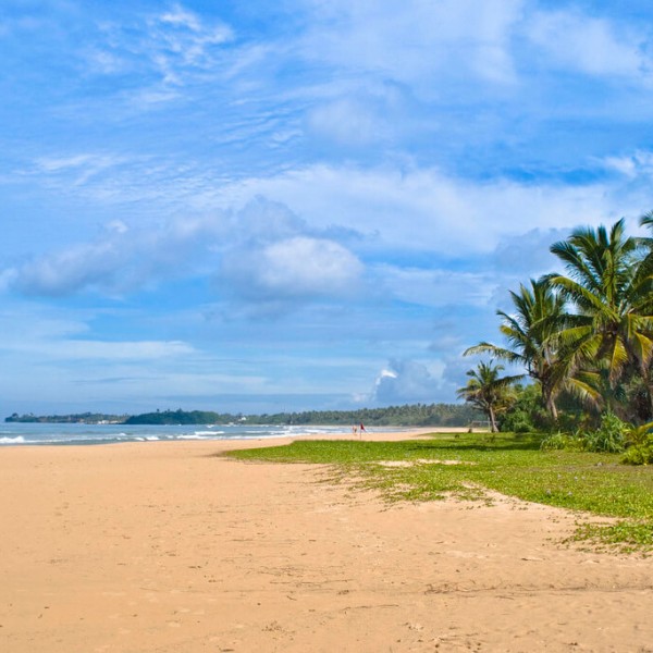 Bentota