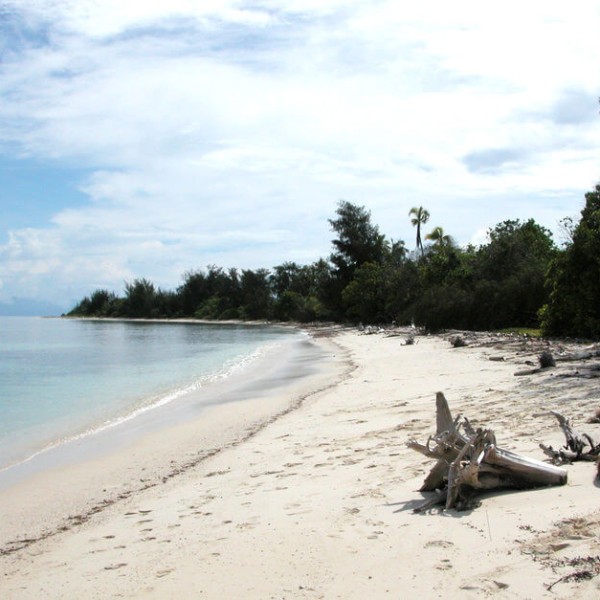 Biak