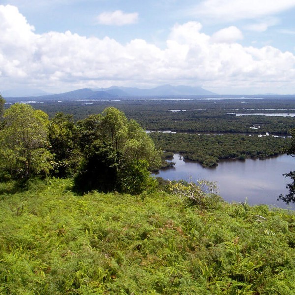 Le Parc national de Danau Sentarum