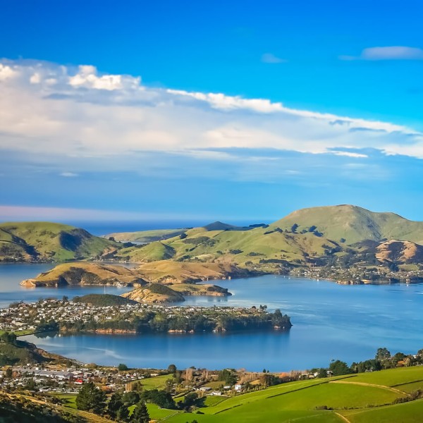 Dunedin