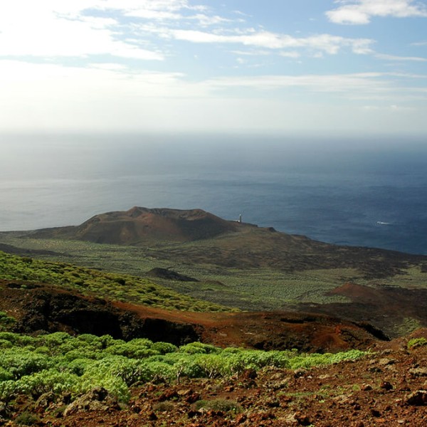 El Pinar de El Hierro