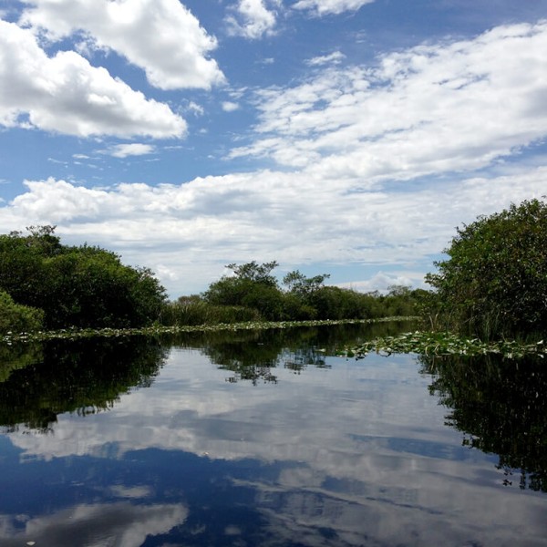 Le Parc national des Everglades