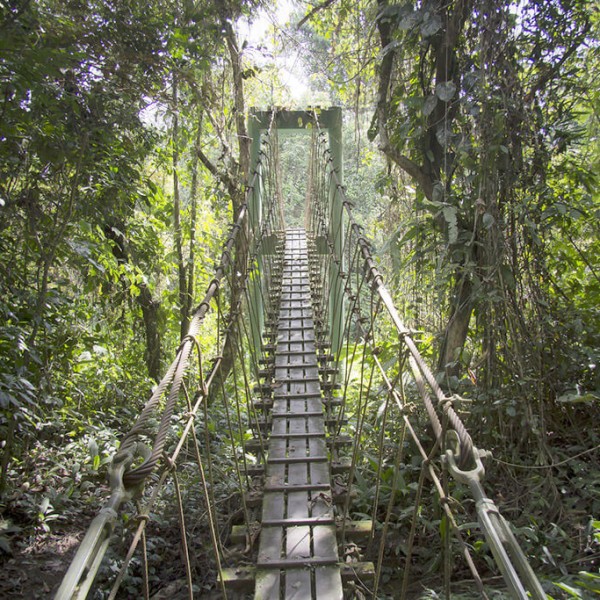 Le Parc national du Gunung Mulu