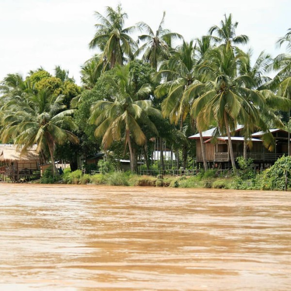 L'Île de Khong (Don Khong)