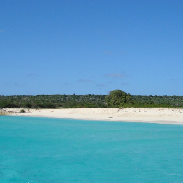 L'île de la Tortue