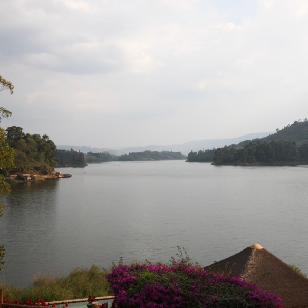 Kabale