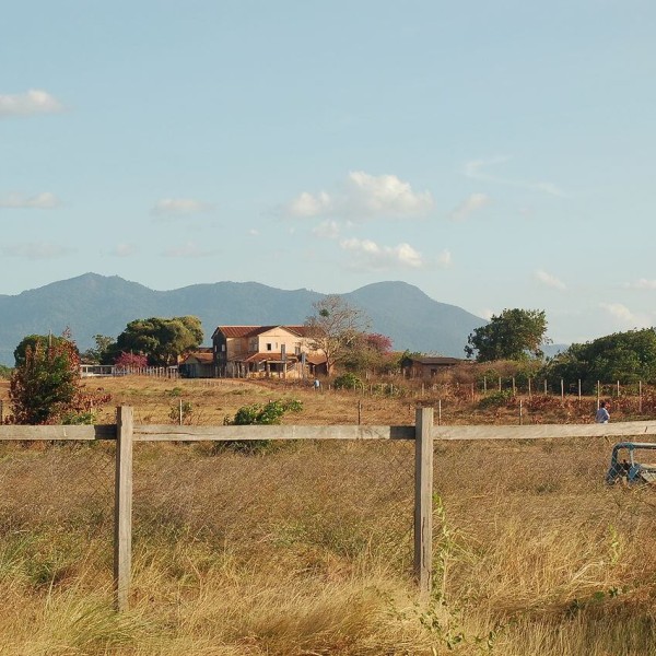 Lethem
