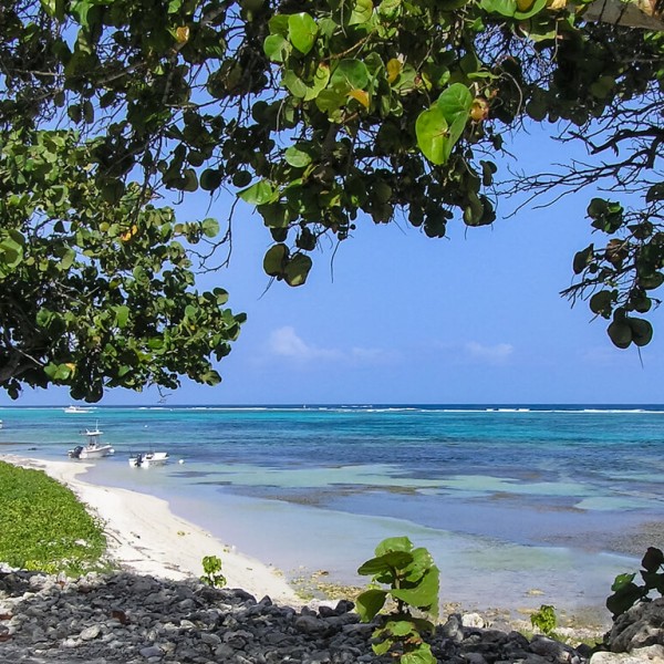 Little Cayman