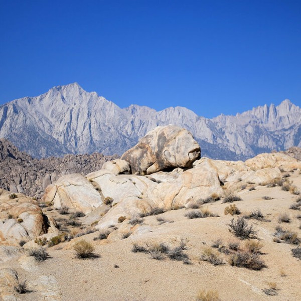 Lone Pine